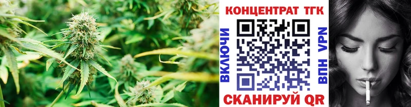 ссылка на мегу зеркало  Торопец  Дистиллят ТГК THC oil  где продают наркотики 